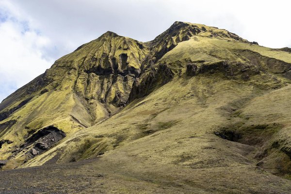 L'effet du tabagisme sur le système immunitaire